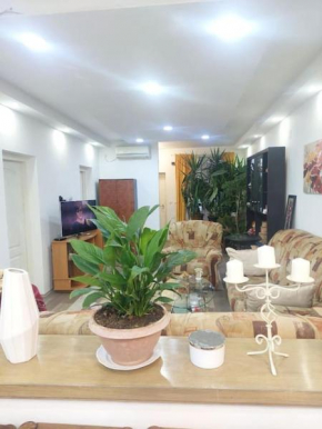 Mandarina lux apartments
